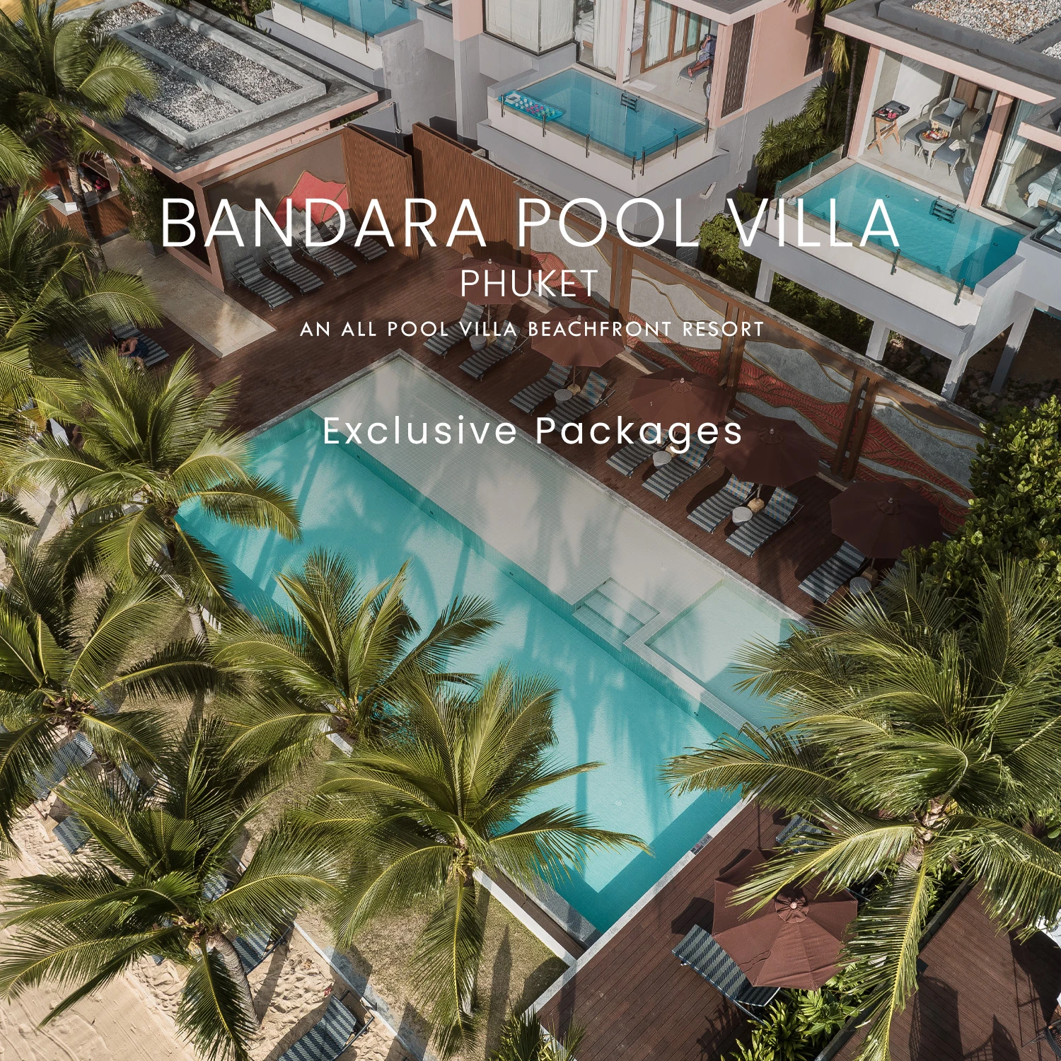 ภาพเอฟเฟกต์โฮเวอร์